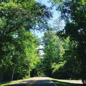 Meet your Posher, Roumona